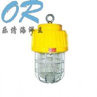 OR-DGS70/127B（B）矿用隔爆型泛光灯