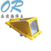OR-DGS70/127B（C）矿用隔爆型巷道灯