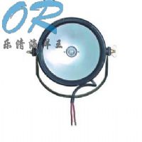 OR-DGY100/24防爆泛光工作灯