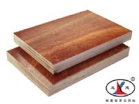 酚醛胶模板，中国建筑模板名牌产品，福建龙川木业