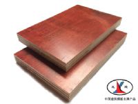 涂胶红板 中国建筑模板名牌产品 福建龙川木业