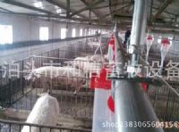 供应自动化养猪设备