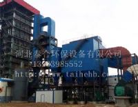 75T锅炉布袋除尘器
