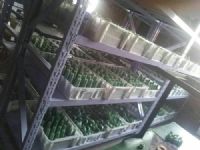 不锈钢精密铸造