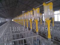 现代养猪自动化喂料系统工艺推广发展成果、问题及展望