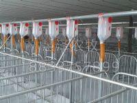 工厂化养猪自动化料线工艺改革之路