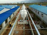 现代化猪场自动喂料业已经取得可喜的成就