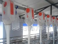 从五省十场看现代化猪场自动喂料存在的问题和原因