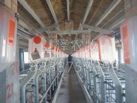 养猪设备产床对母猪生产的饲养管理