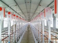 工厂现代化养猪设备的技术规程与注意事项