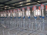 我国规模化养猪及现代猪场料线生产工艺发展阶段