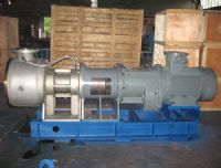 NYP高粘度转子泵现货厂家